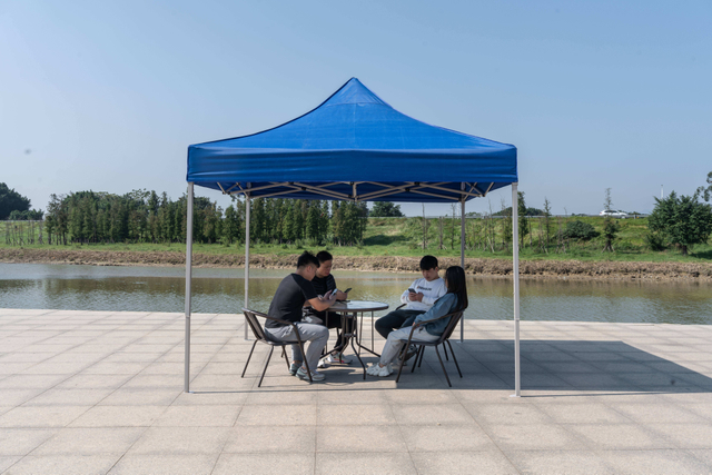 Carpa personalizada para feria comercial con marco de acero de 10x10 pies, carpa emergente para publicidad de eventos al aire libre, toldo para eventos