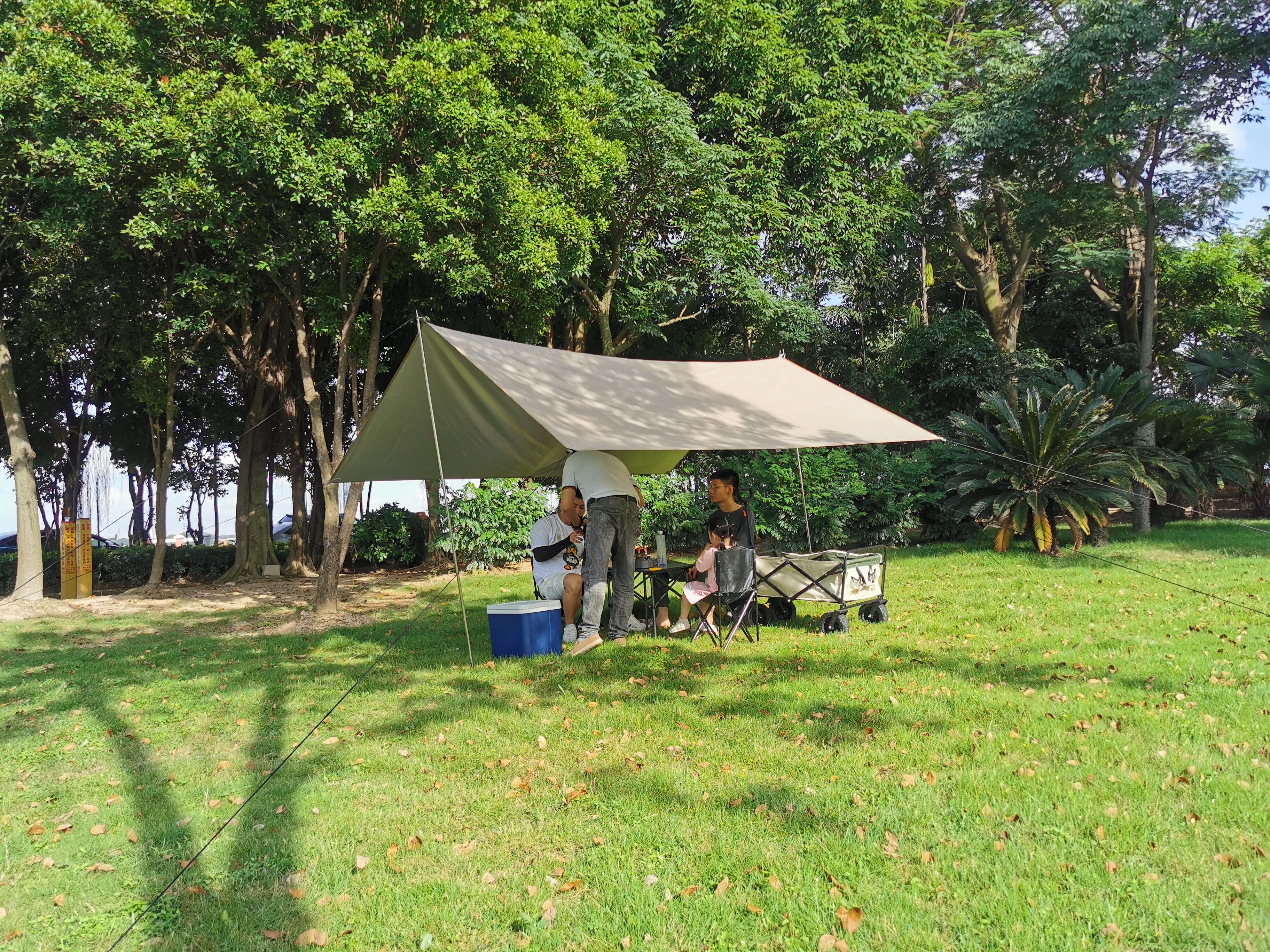 Tienda de dosel emergente